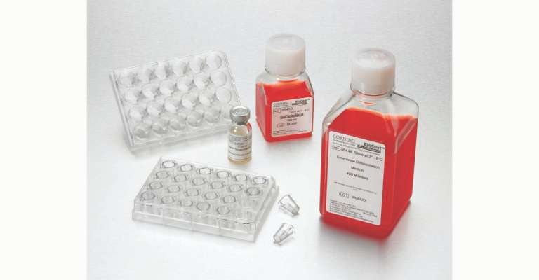 细胞培养试剂盒和检测系统